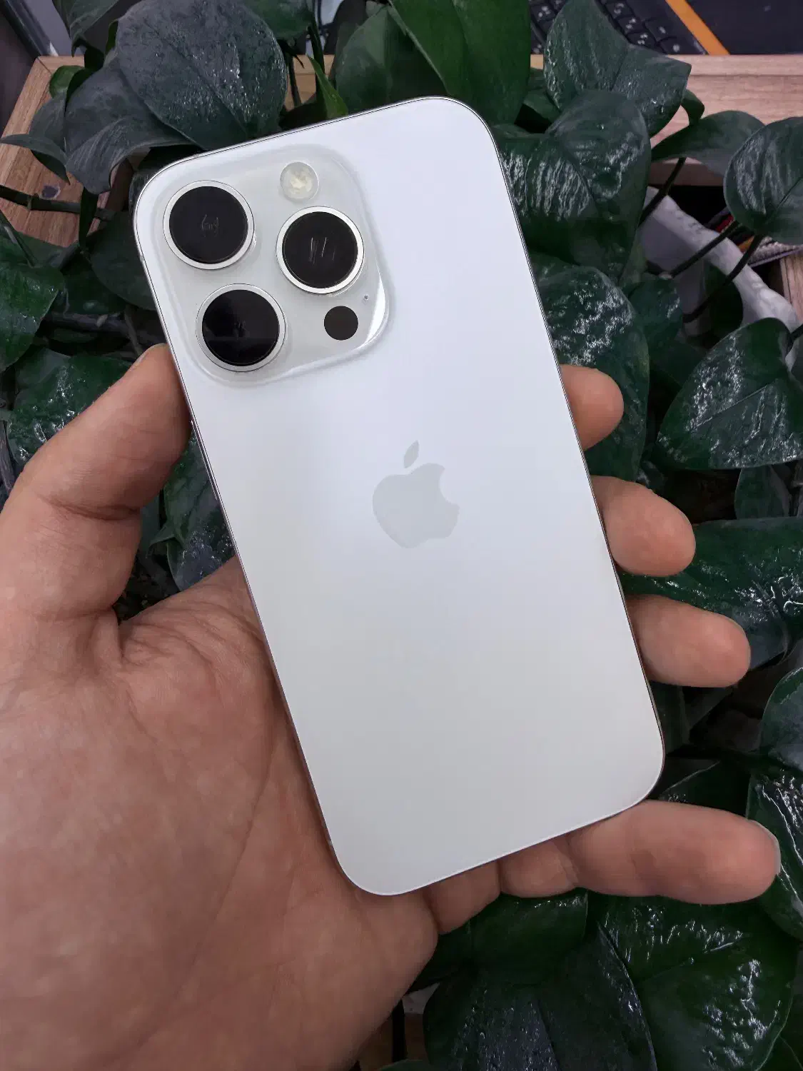 Iphone 16 pro|موبایل|شیراز, میرزاکوچک خان|دیوار