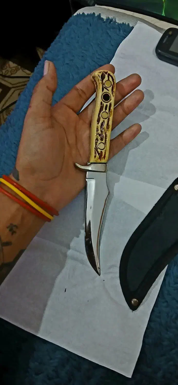 چاقو پوما کلکسیونی اصلی|کلکسیون اشیاء عتیقه|زاهدان, |دیوار