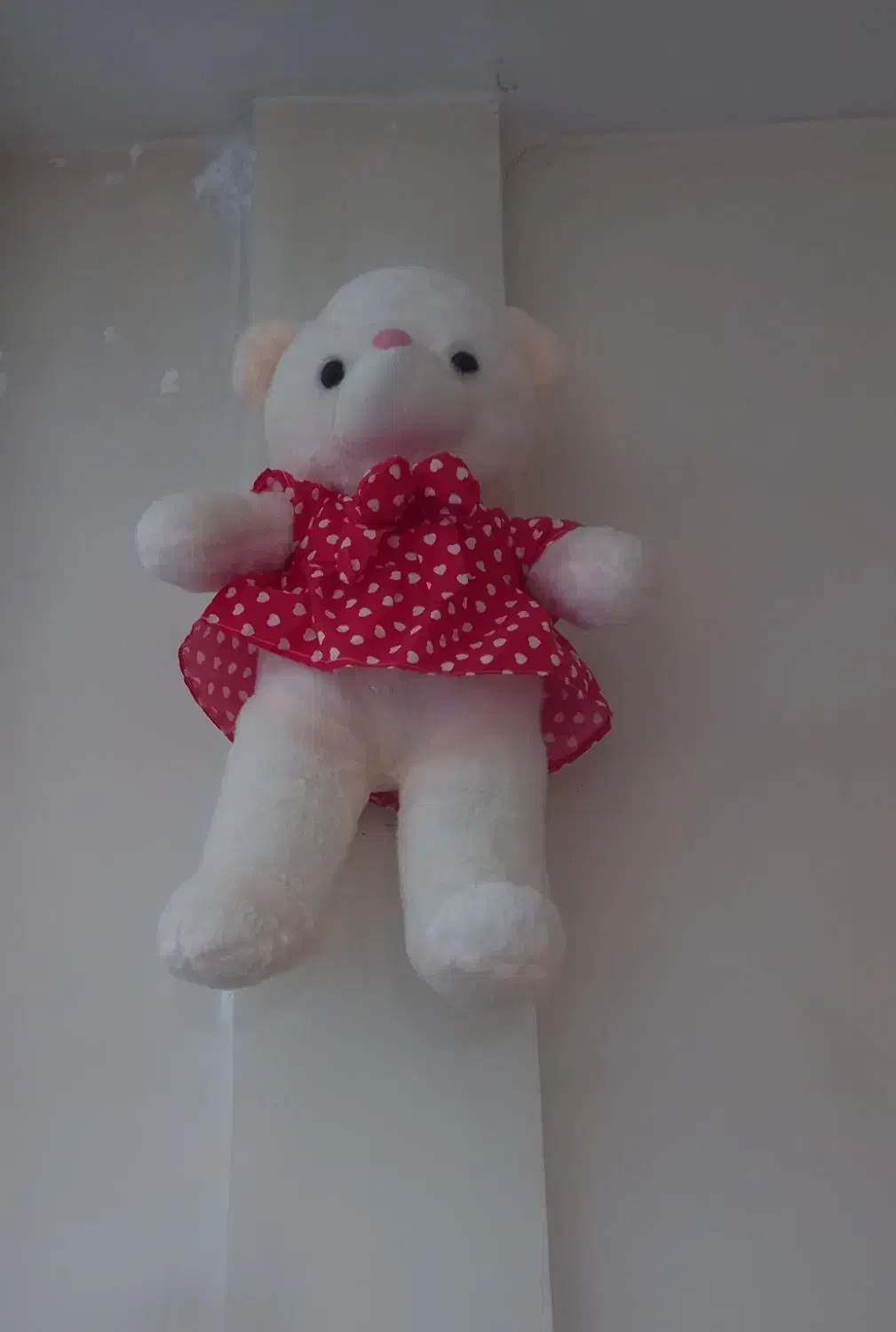 عروسک|اسباب‌بازی بچه|سهند, |دیوار