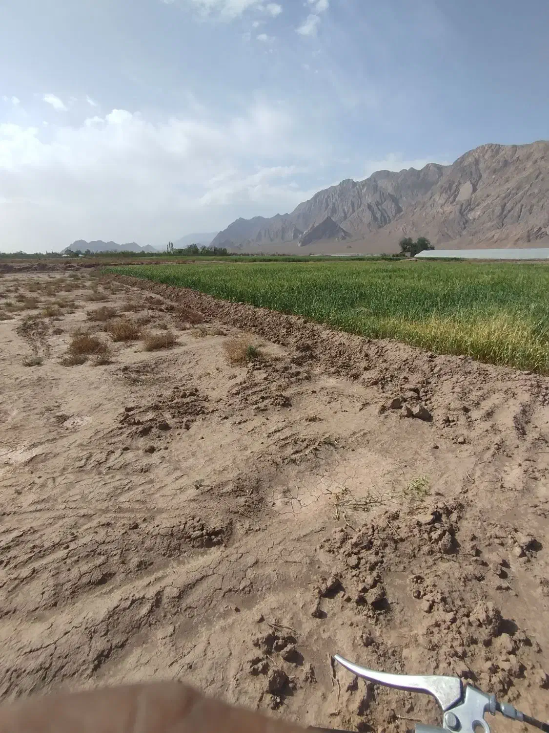 فروش اب و زمین منطقه گزک(راین)|فروش دفتر صنعتی، کشاورزی، تجاری|راین, |دیوار