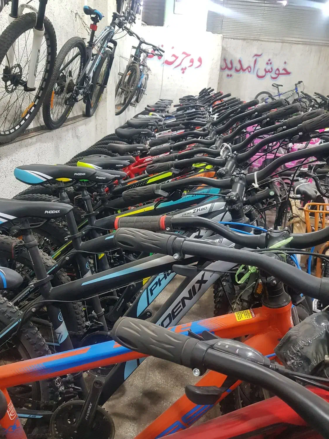 فروش ویژه دوچرخه شروع شد|دوچرخه، اسکیت، اسکوتر|تربتحیدریه, باغ سلطانی|دیوار