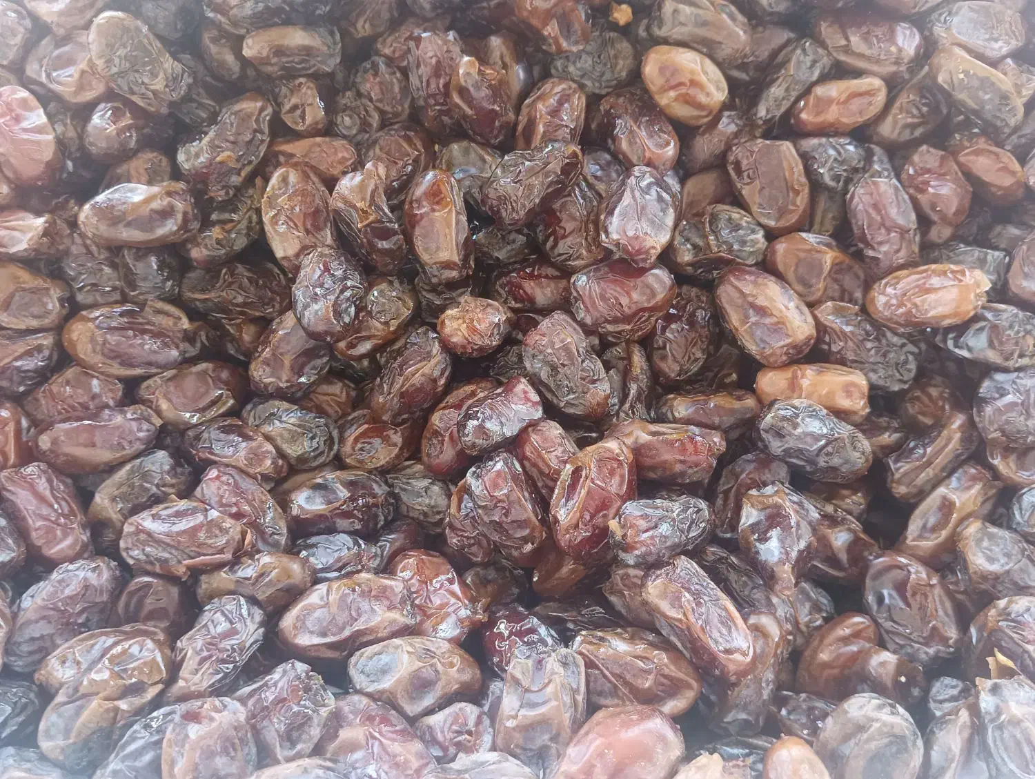 خرمای بسته بندی جنوب|خوردنی و آشامیدنی|آبپخش, |دیوار