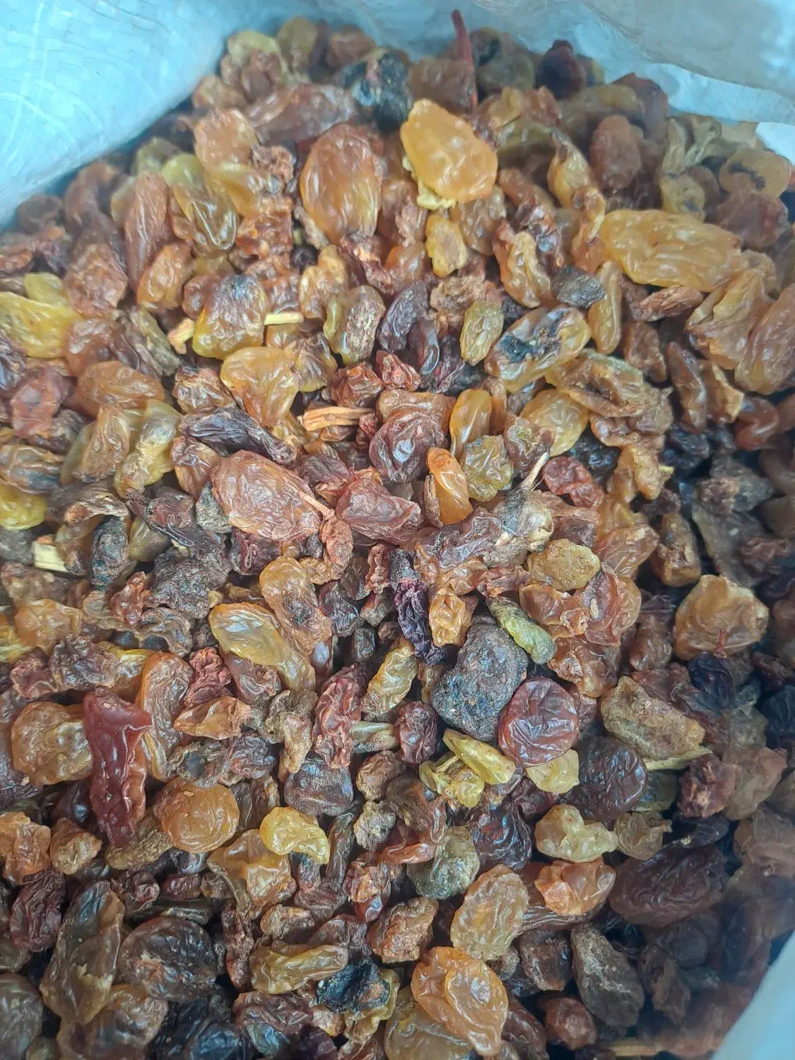 کشمش|خوردنی و آشامیدنی|مشگین شهر, |دیوار