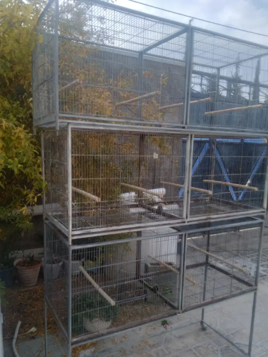 فروش قفس پرنده|لوازم جانبی حیوانات|نیریز, |دیوار