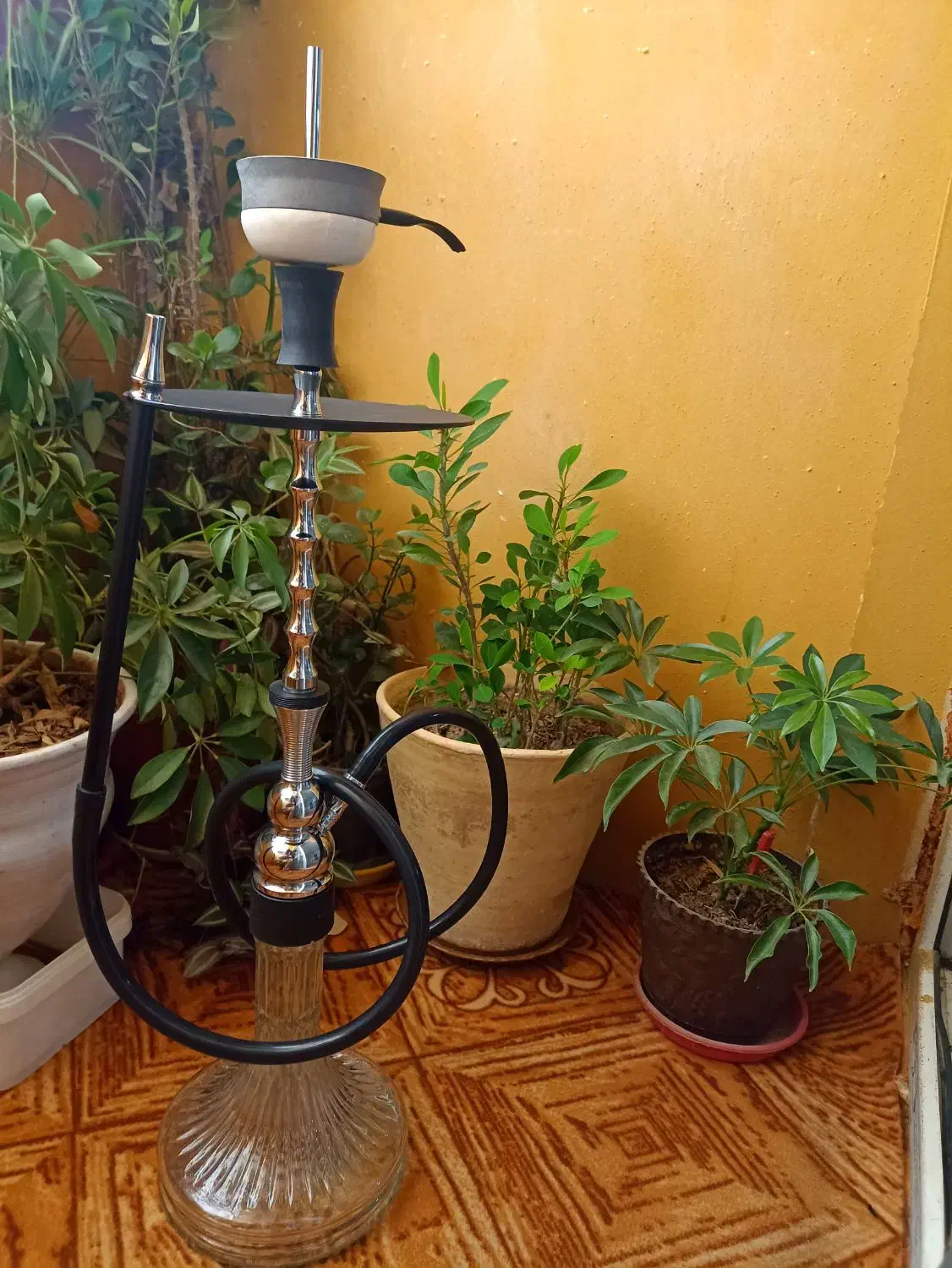 قلیون نو قیمت توافقی|کلکسیون و سرگرمی|تیران, |دیوار