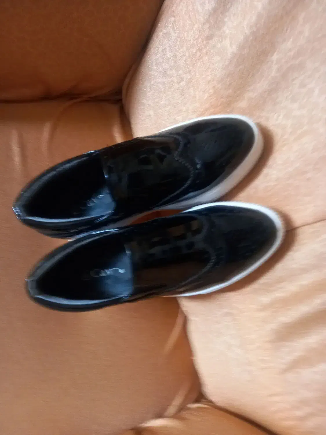 کفش|کیف، کفش، کمربند|اردبیل, |دیوار