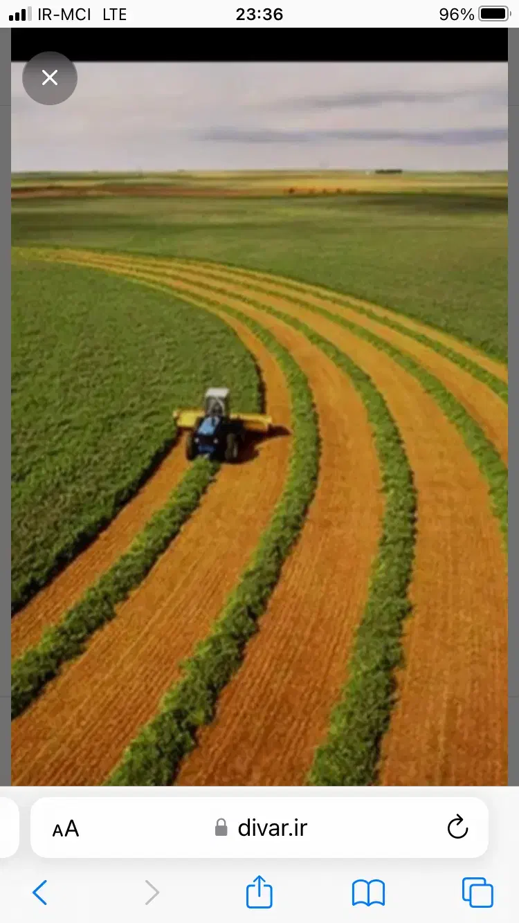 اجاره ۲۰ تا ۷۰ هکتارزمین کشاورزی|اجارهٔ دفتر صنعتی، کشاورزی، تجاری|بشاریات, |دیوار