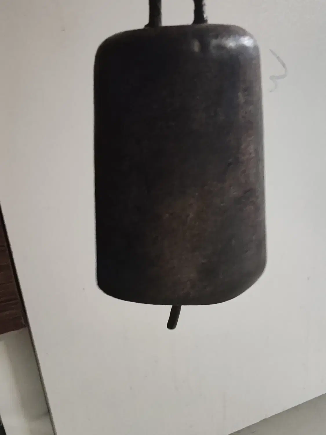 زنگوله|لوازم جانبی حیوانات|مشهد, نرگس (شهرک غرب)|دیوار