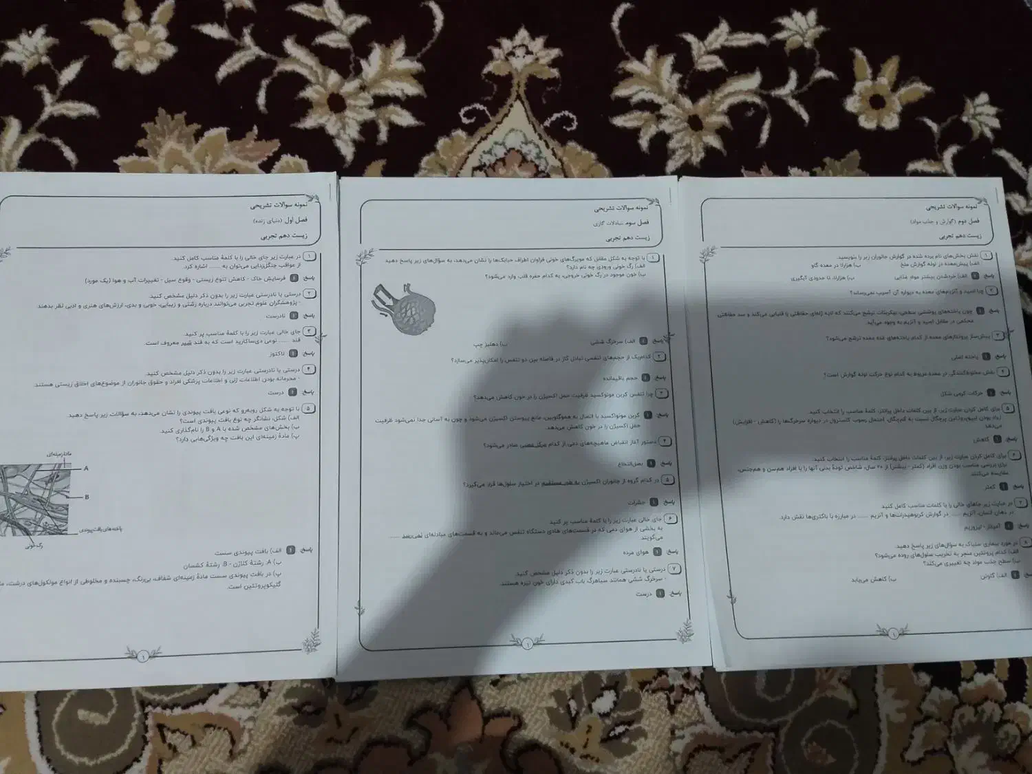 سوالات تشریحی سنجش زیست دهم|کتاب و مجله آموزشی|قم, شهرک امام حسن|دیوار