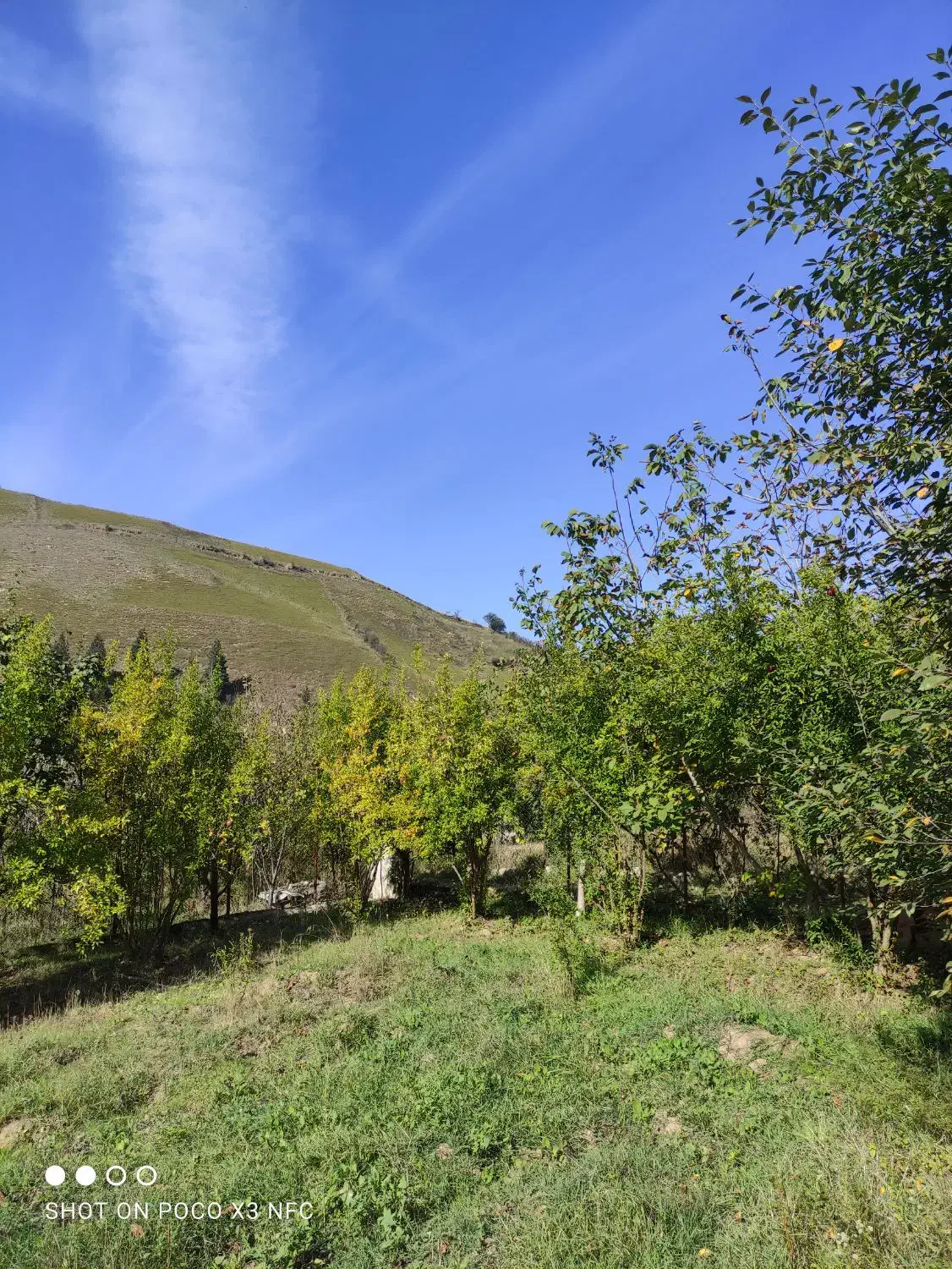 زمین باغی ویلا|فروش خانه و ویلا|رستمکلا, |دیوار