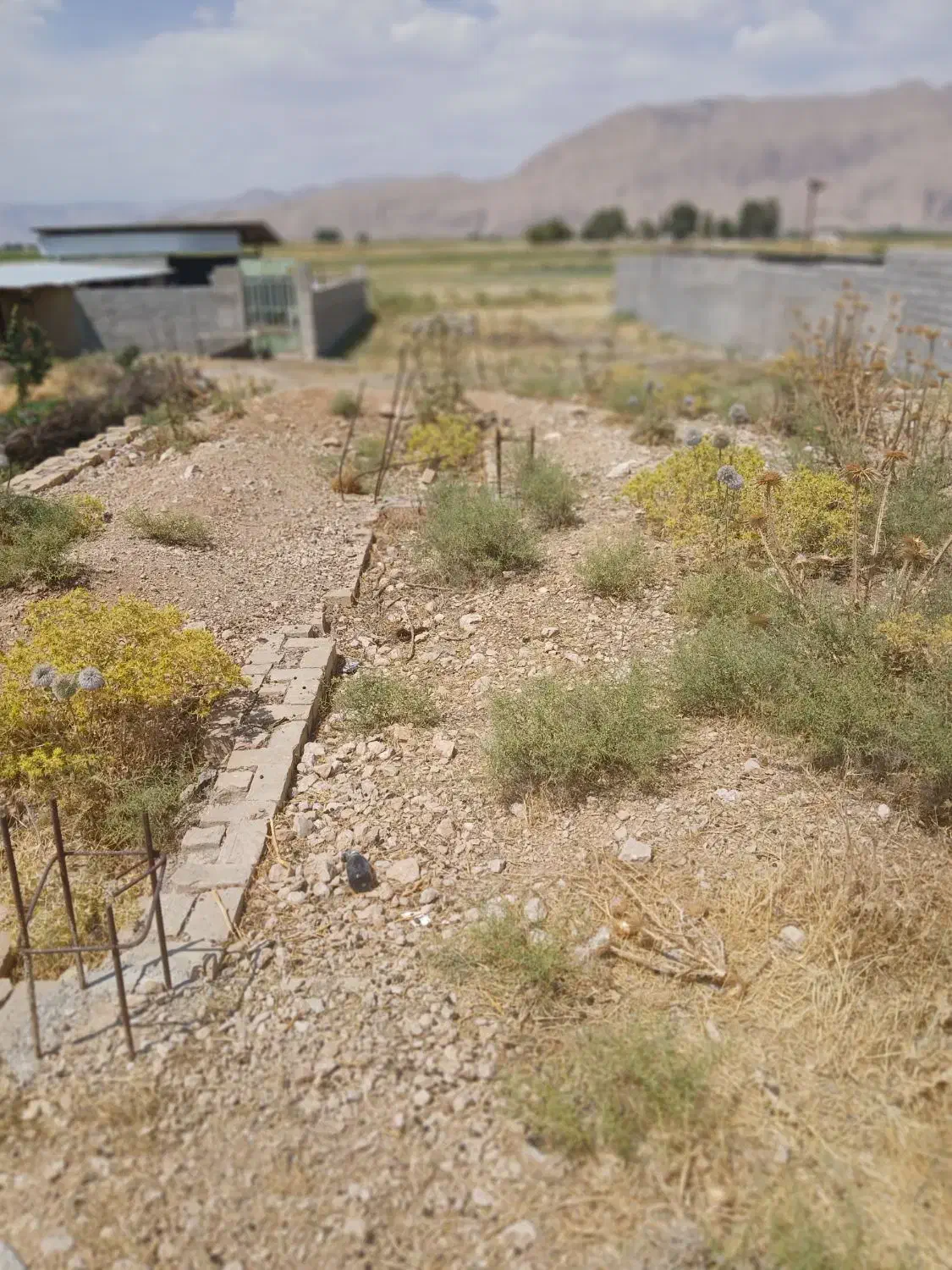 زمین ساختمانی|فروش زمین و ملک کلنگی|درودزن, |دیوار