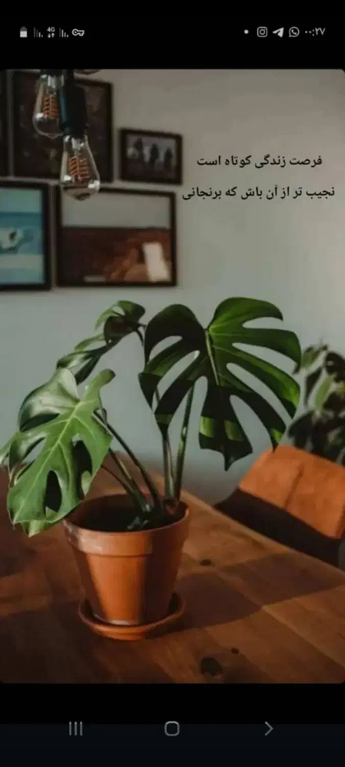 لطفا راهنمایی کنید|فعالیت داوطلبانه|شوشتر, |دیوار