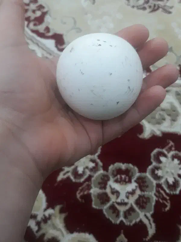 سنگ آسیاب|کلکسیون اشیاء عتیقه|ملایر, |دیوار