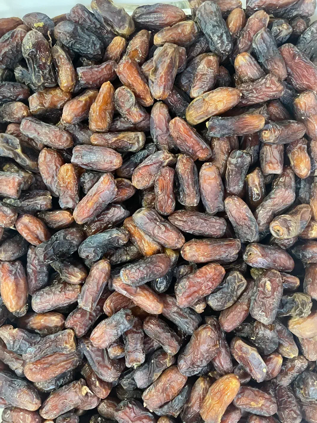 خرمای پیارم|خوردنی و آشامیدنی|شیراز, فرهنگ شهر|دیوار