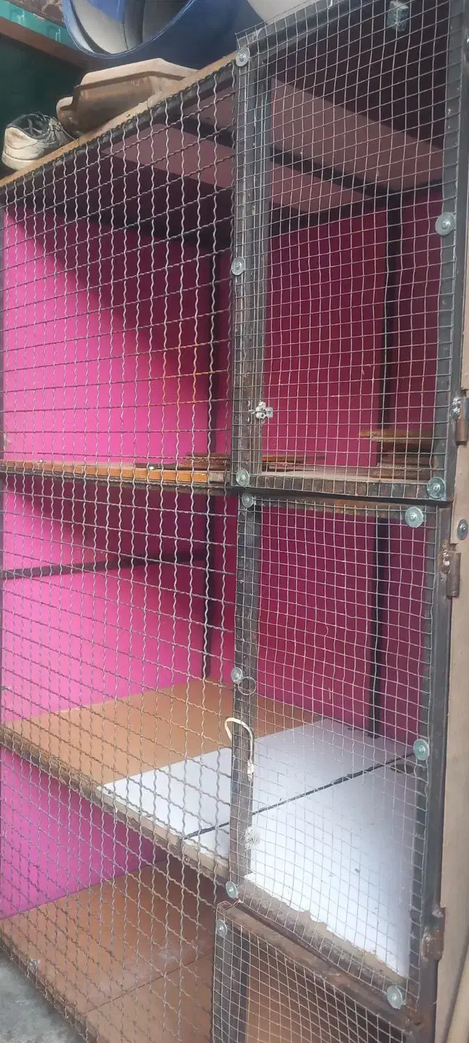 قفس پرنده|لوازم جانبی حیوانات|پاکدشت, پاکدشت (مامازند)|دیوار