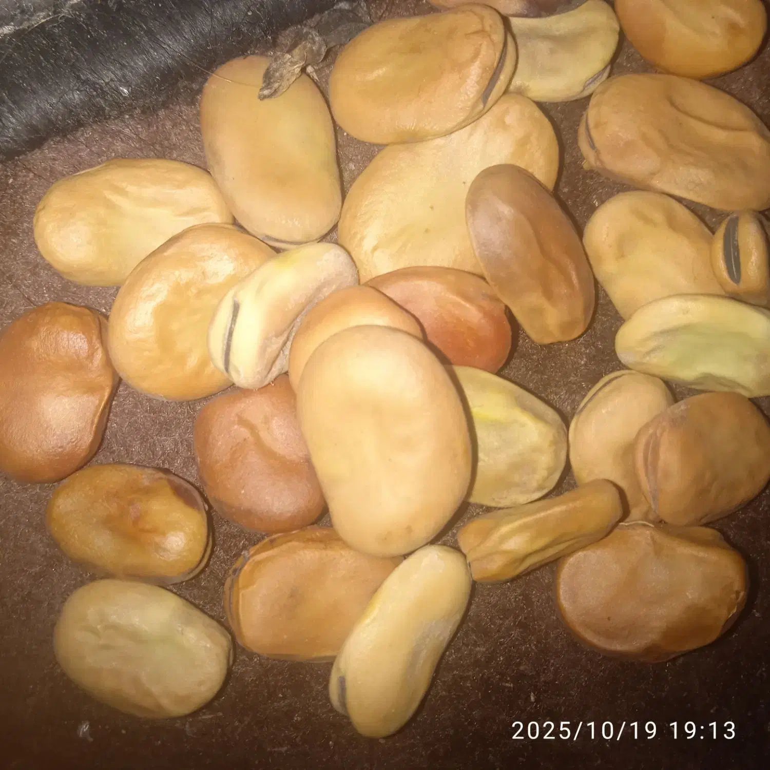 باقلا|خوردنی و آشامیدنی|حمیدیه, |دیوار