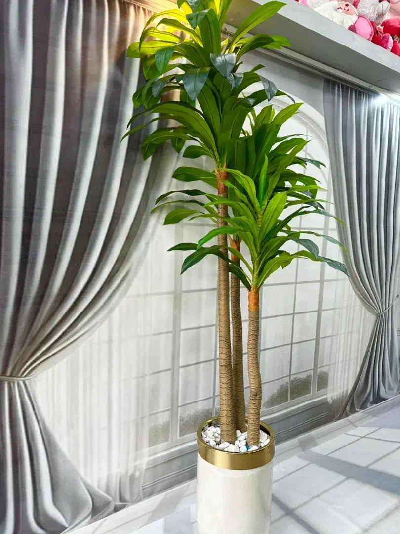 درختچه های مصنوعی وارداتی|گل مصنوعی|لاهیجان, رجایی|دیوار