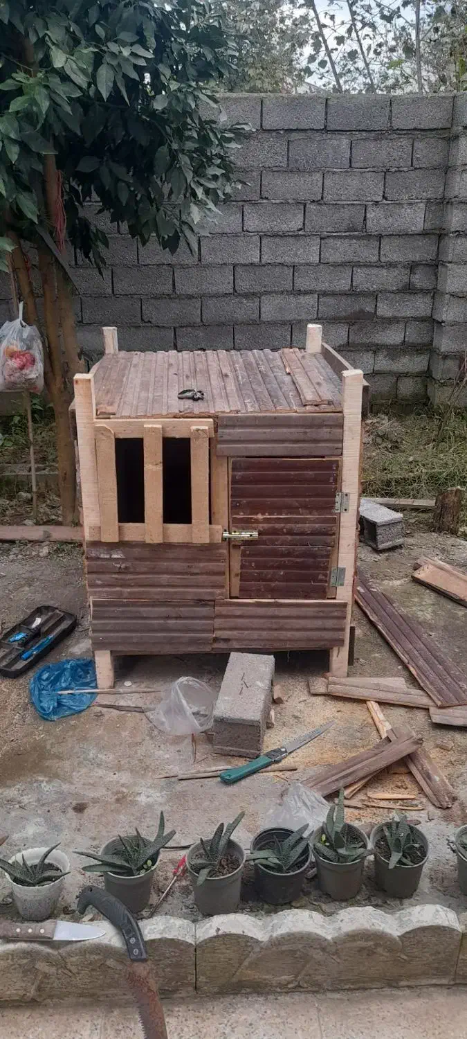 لانه حیوان|لوازم جانبی حیوانات|لاهیجان, بازکیاگوراب|دیوار