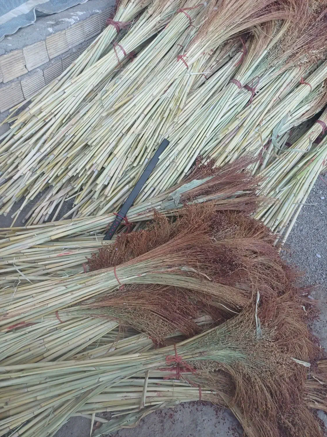 مقداری جارو به صورت دسته تمیز شده|لوازم نظافت|نهاوند, |دیوار