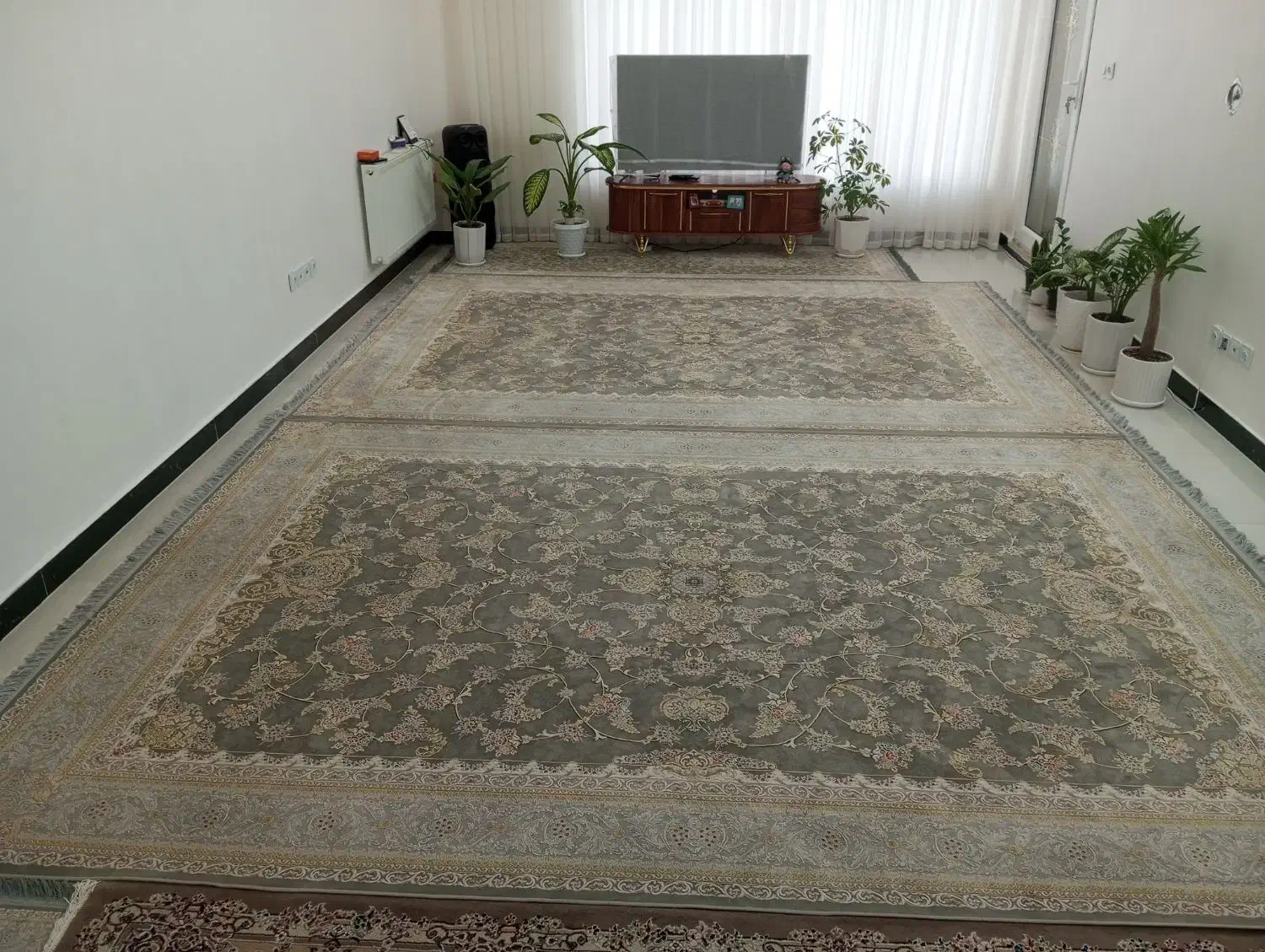 فرش 1200شانه|فرش|گنبد کاووس, |دیوار