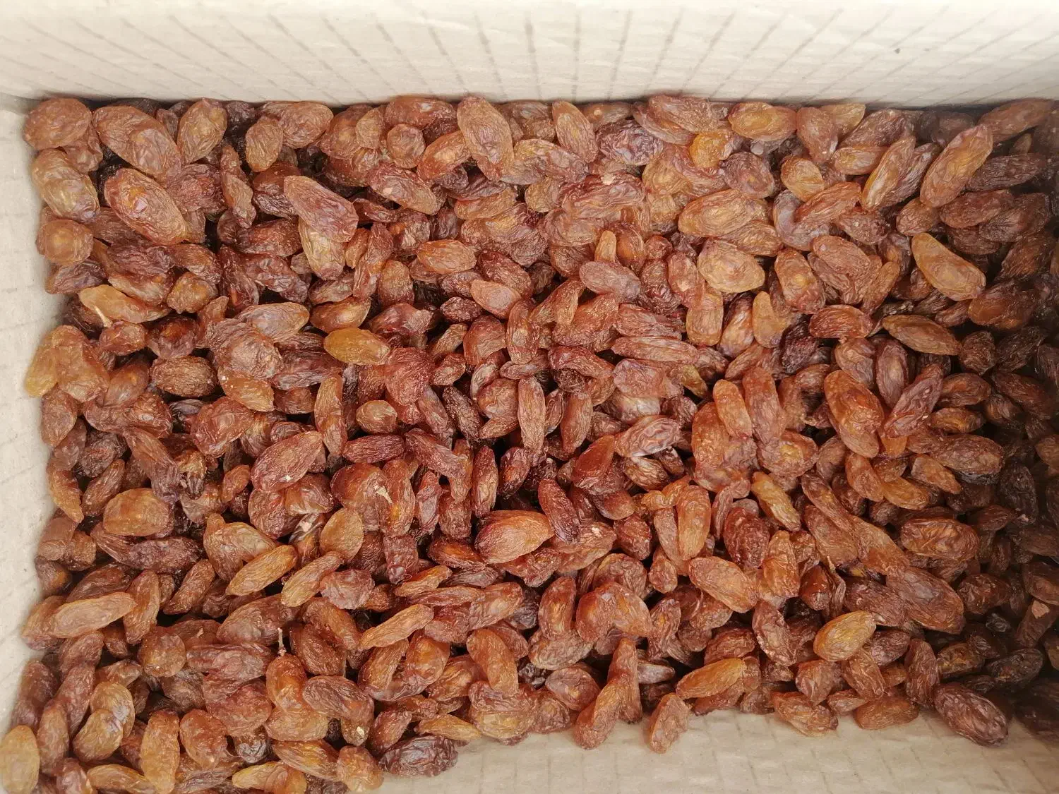 کشمش 3کیلویی (کارتنی)|خوردنی و آشامیدنی|نیشابور, بلوار گلها|دیوار