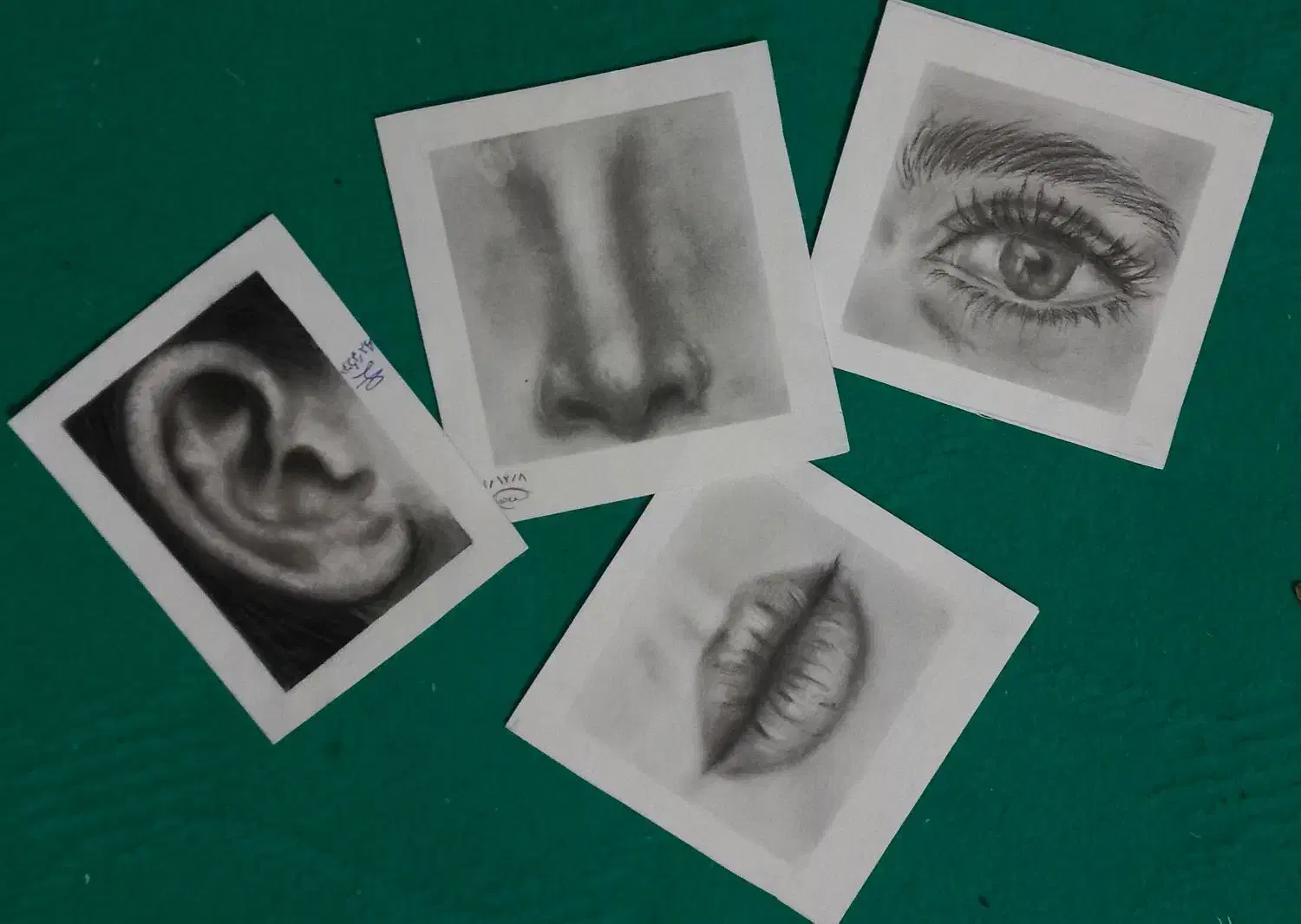 نقاشی سیاه قلم سفارش|تابلو، نقاشی، عکس|اشتهارد, |دیوار