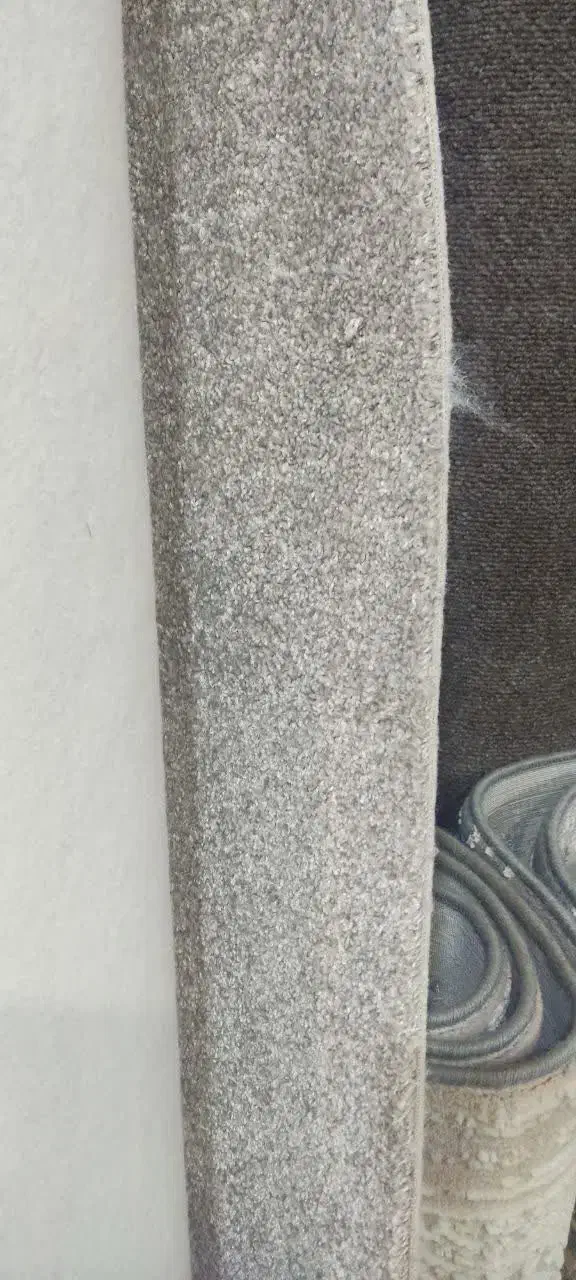 پالاز موکت و فرش|موکت|همدان, |دیوار