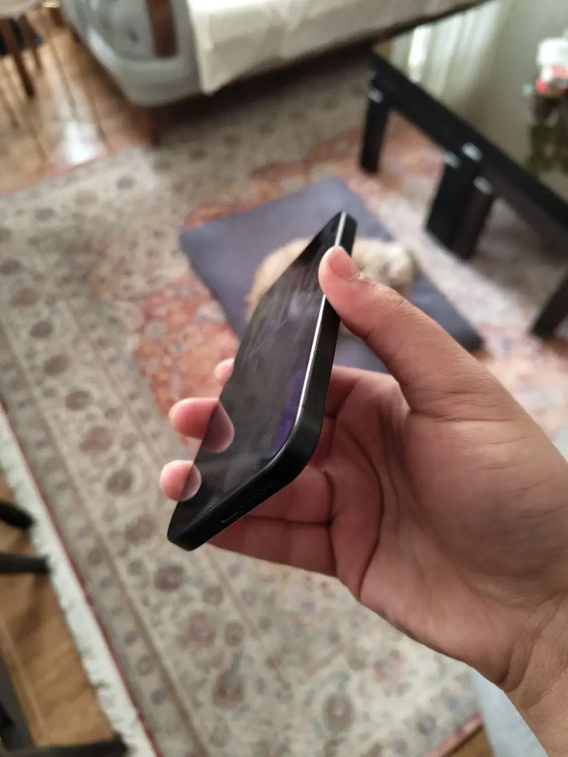 iphone 15 pro ZAA|موبایل|کرج, دهقان ویلا|دیوار