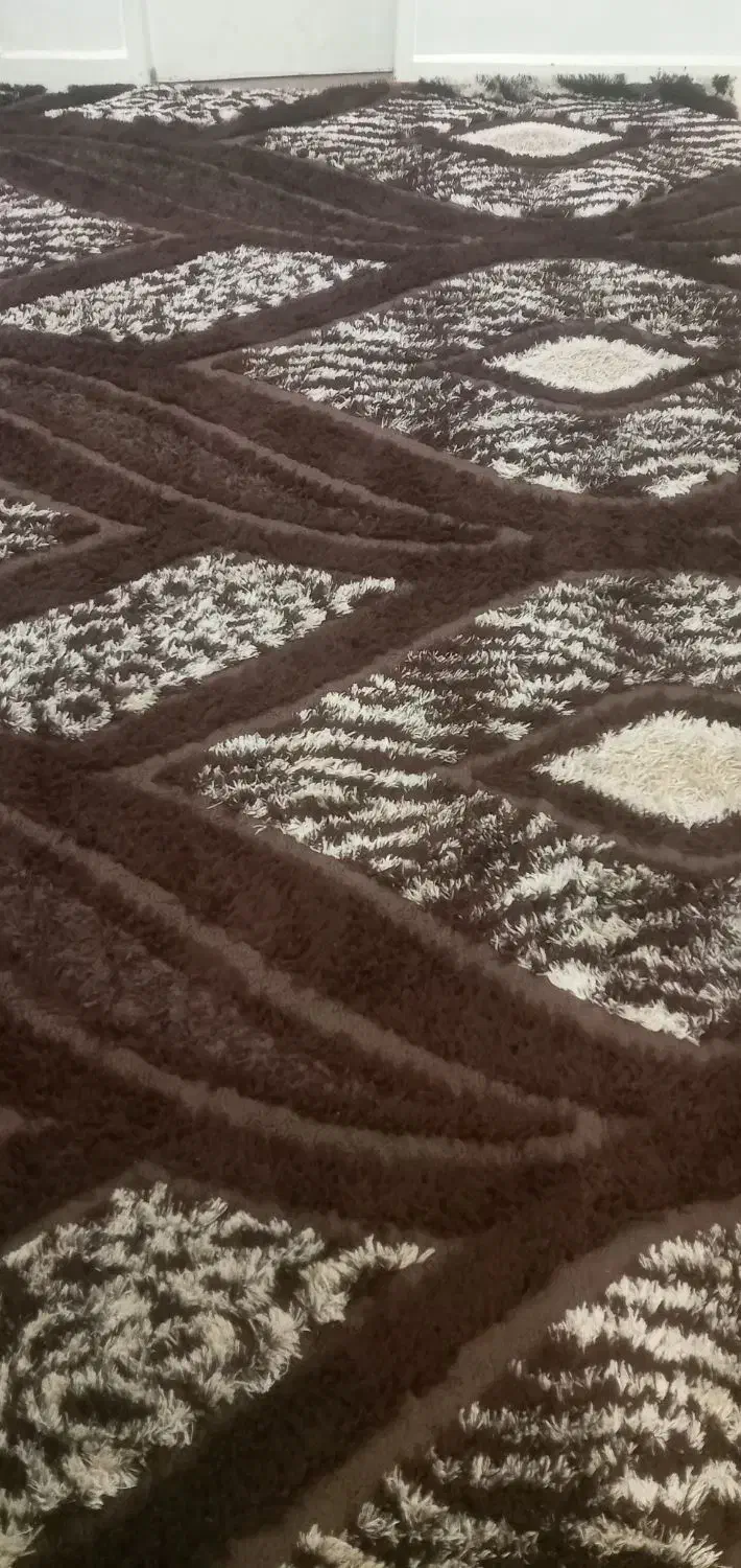 فروش گلیم فرش ۱۲ متری|گلیم، جاجیم، گبه|بوشهر, |دیوار