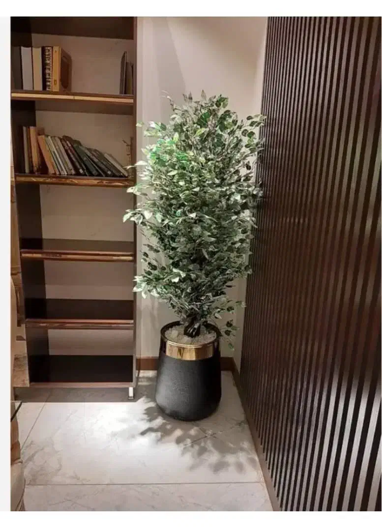 درختچه مصنوعی گل مصنوعی|گل مصنوعی|رشت, سلیمانداراب|دیوار