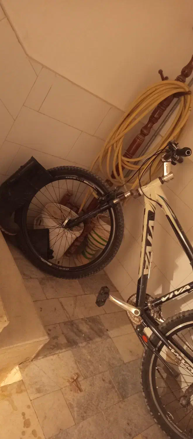 دوچرخه فروشی|دوچرخه، اسکیت، اسکوتر|بافت, |دیوار