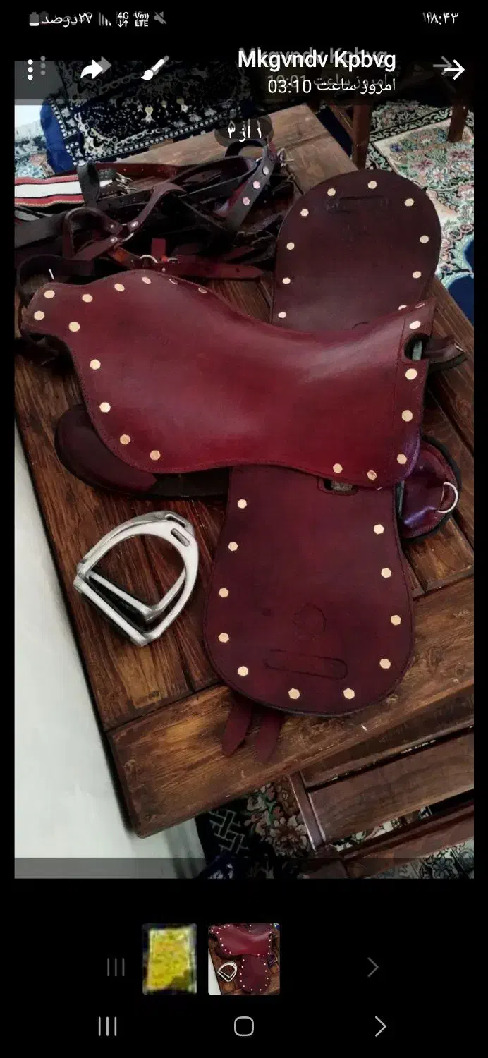 زین نو|اسب و تجهیزات اسبسواری|اهواز, شریعتی جنوبی|دیوار