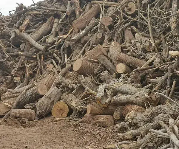 خریدار انواع چوب هیزمی|خدمات باغبانی و درختکاری|کاشان, دشت لتحر|دیوار