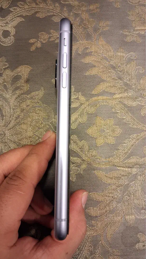 فروشی گوشی آیفون ۱۱ نرمال|موبایل|مشهد, سلام|دیوار