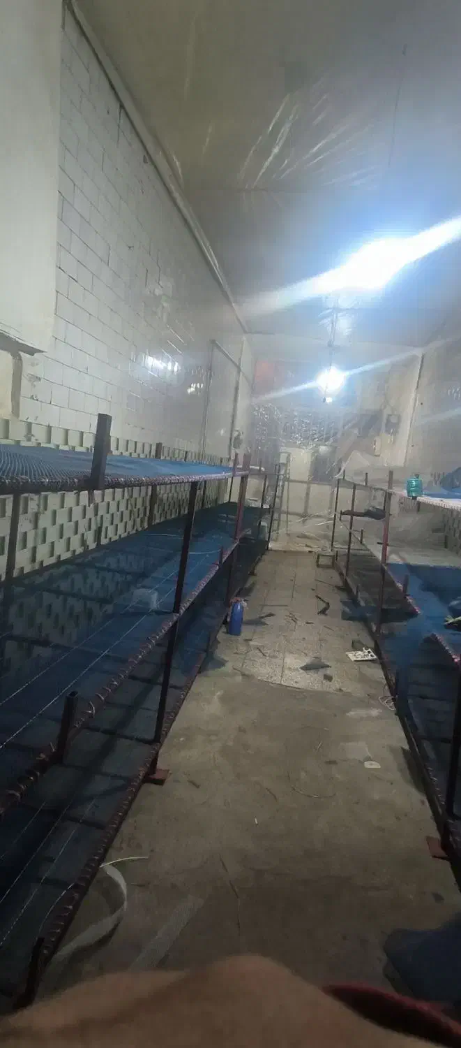 قفسه های قارچ|فروشگاه و مغازه|نقده, |دیوار