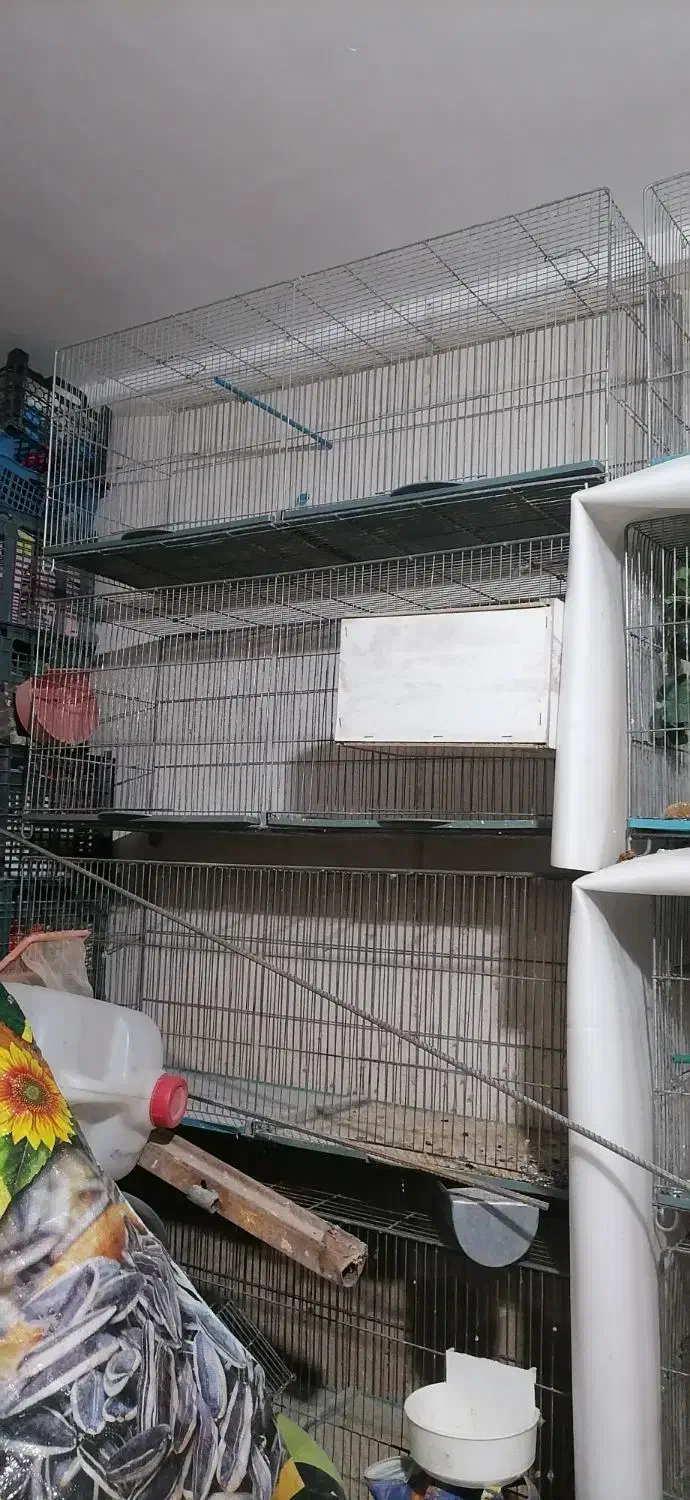 قفس در حد نو|لوازم جانبی حیوانات|آشخانه, |دیوار