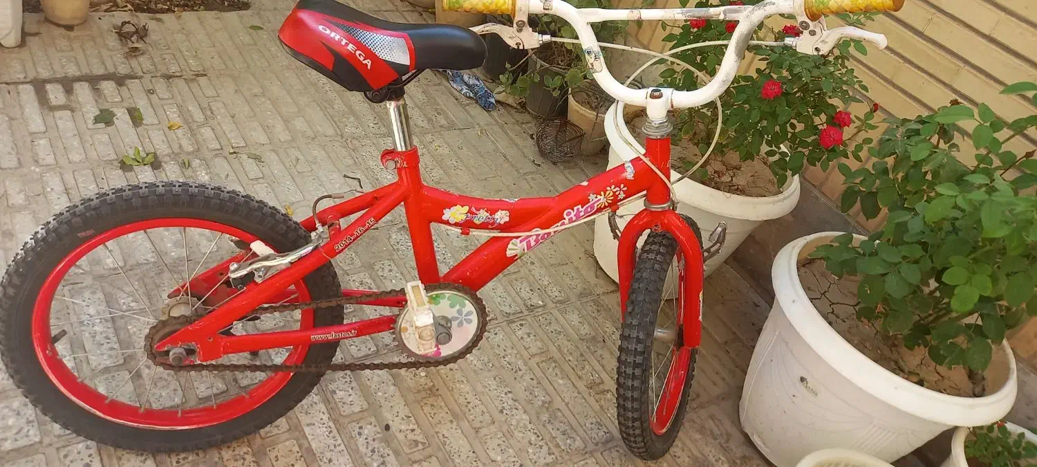 دوچرخه بچه گانه|دوچرخه، اسکیت، اسکوتر|شاهینشهر, شهرک گلدیس|دیوار