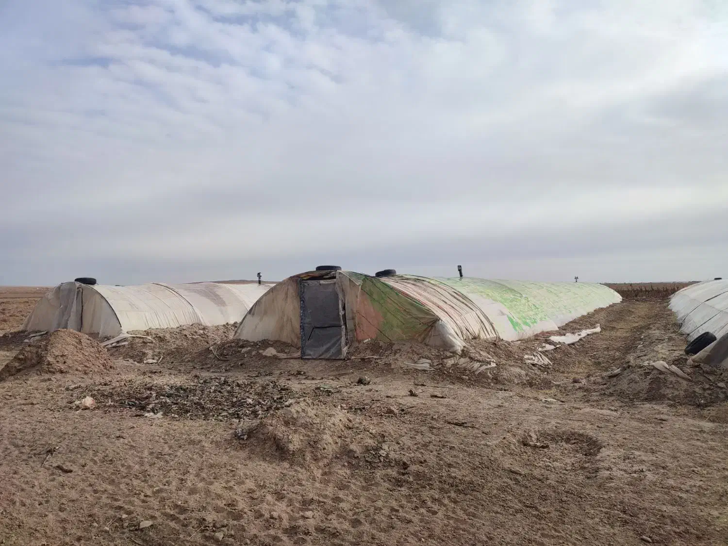 سازه گلخانه|مصالح و تجهیزات ساختمان|مشهد, امیریه|دیوار