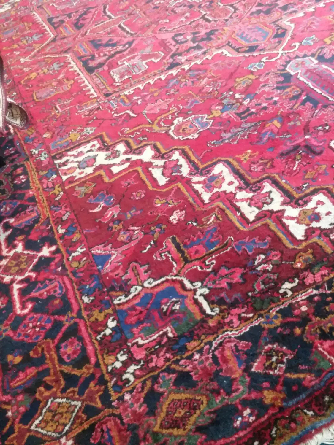 فرش دوازده متری دست بافت شربیان کاملا تمیز وسالم|فرش|عباس‌آباد, |دیوار