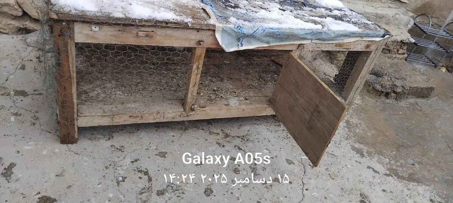 قفس چوبی|لوازم جانبی حیوانات|فارسان, |دیوار