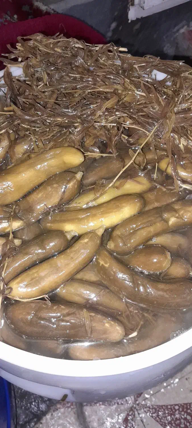 فروش خیارشور محلی با تعم مزه بسیار عالی|خوردنی و آشامیدنی|شیراز, دست خضر|دیوار
