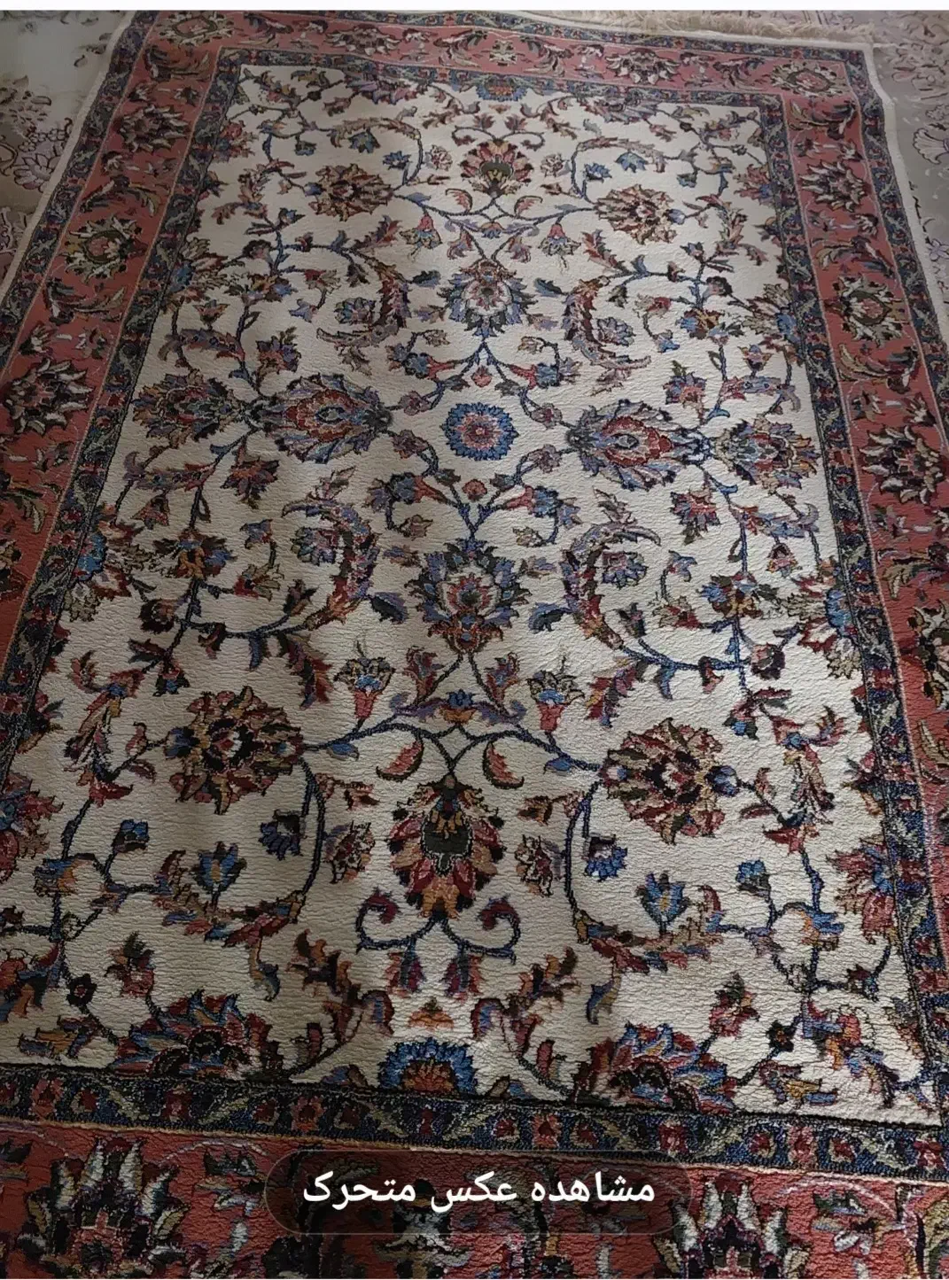 پادری ویک فرش ۳متری|پادری|گرگان, |دیوار