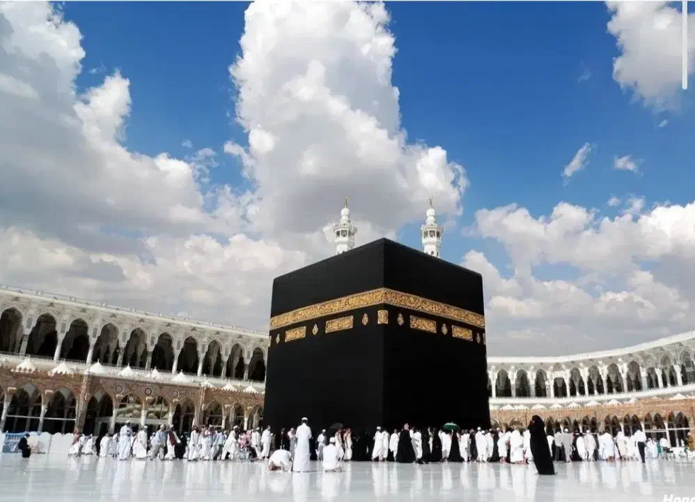 فیش حج عمره|تور و چارتر|سبزوار, کوی گلستان|دیوار