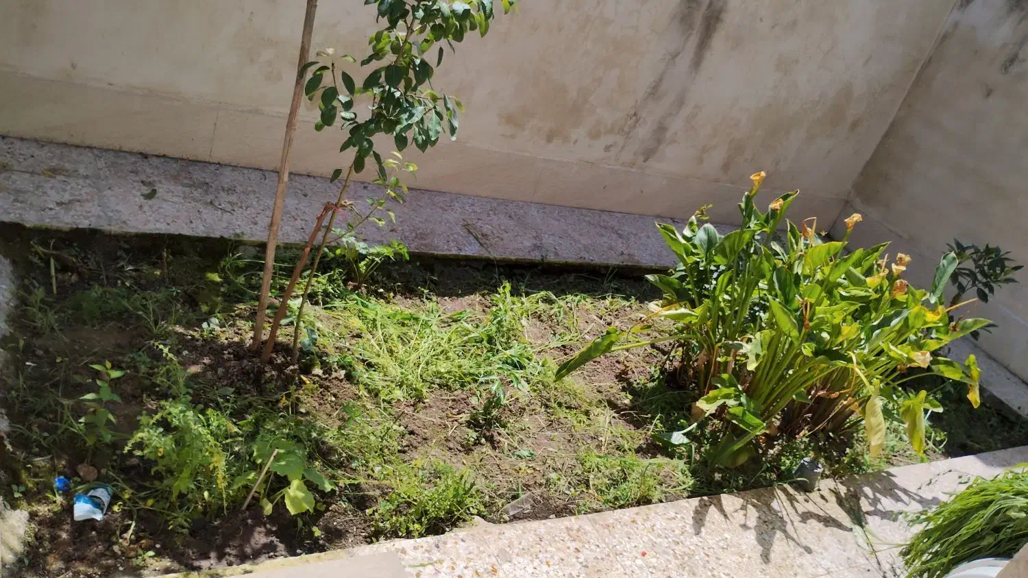 یک واحد اجاره ای بصورت روزانه و ماهانه|اجارهٔ خانه و ویلا|لنگرود, |دیوار