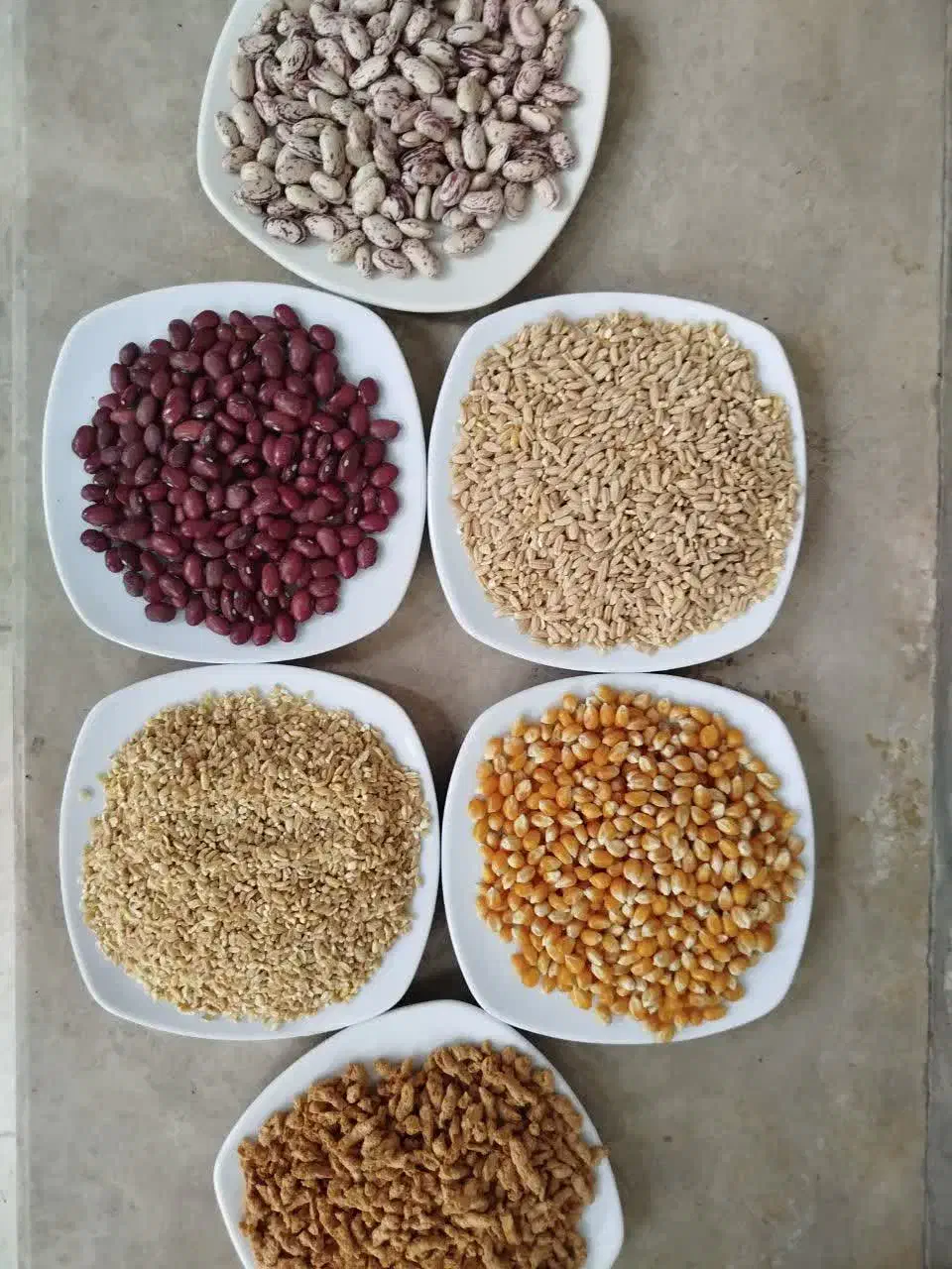 حبوبات|حراج|کاشان, درب اصفهان|دیوار