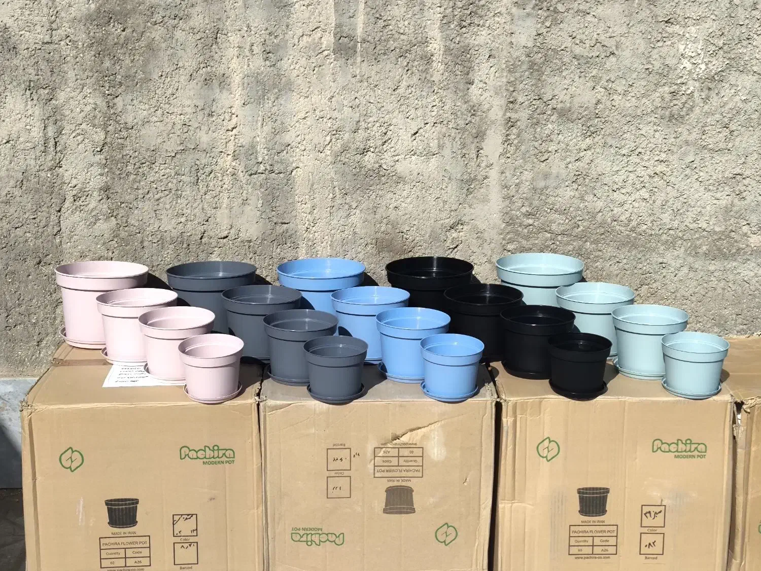 گل و گیاه، گلدان،کود و بستر کشت گیاهان آپارتمانی|گل و گیاه طبیعی|طبس, |دیوار