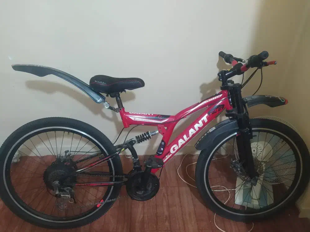 دوچرخه|دوچرخه، اسکیت، اسکوتر|مسجد سلیمان, |دیوار