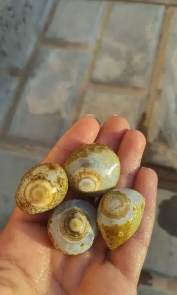 انواع سنگ مخصوص تراش نگین.با کیفیت بالا|جواهرات|فردوس (خراسان), |دیوار