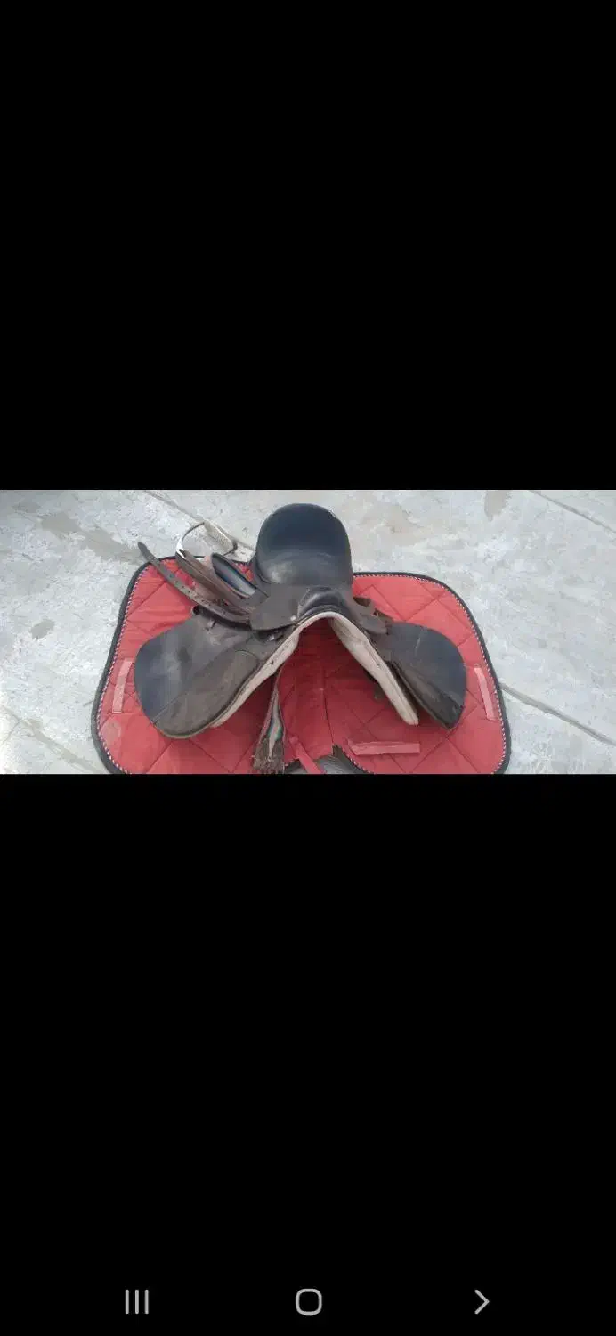 زین وعرق گیر اسب|اسب و تجهیزات اسب‌سواری|بجنورد, |دیوار