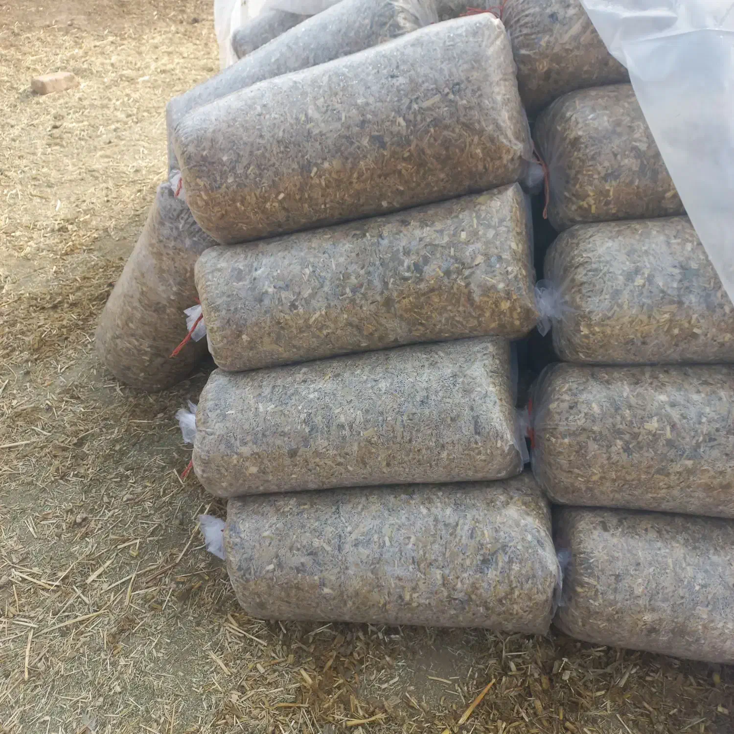 ذرت علوفه بسته ای|لوازم جانبی حیوانات|کنگاور, |دیوار